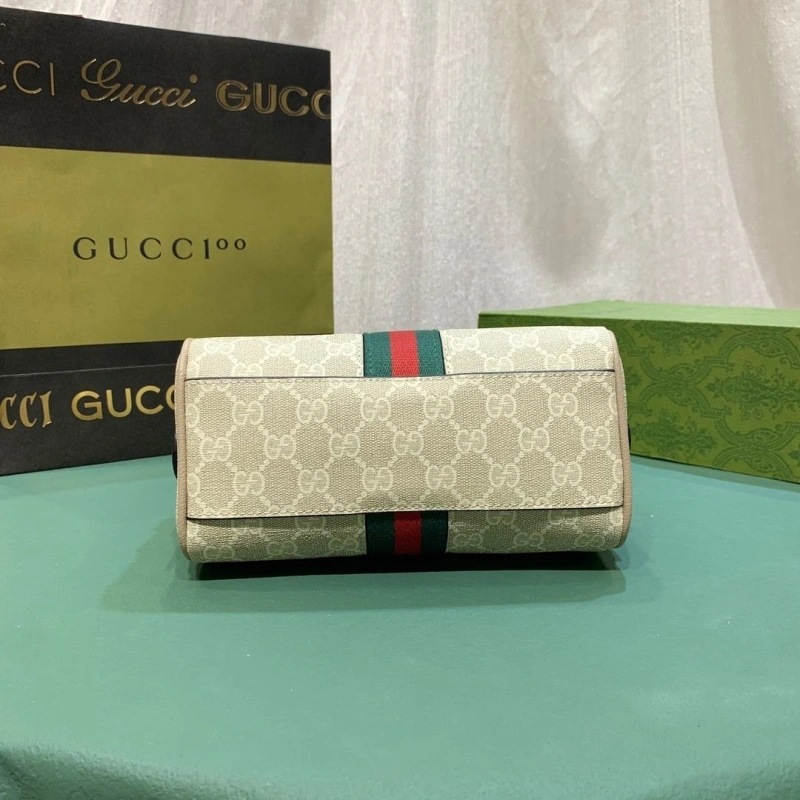 Gvc*1 speedy bags 4189a-0127