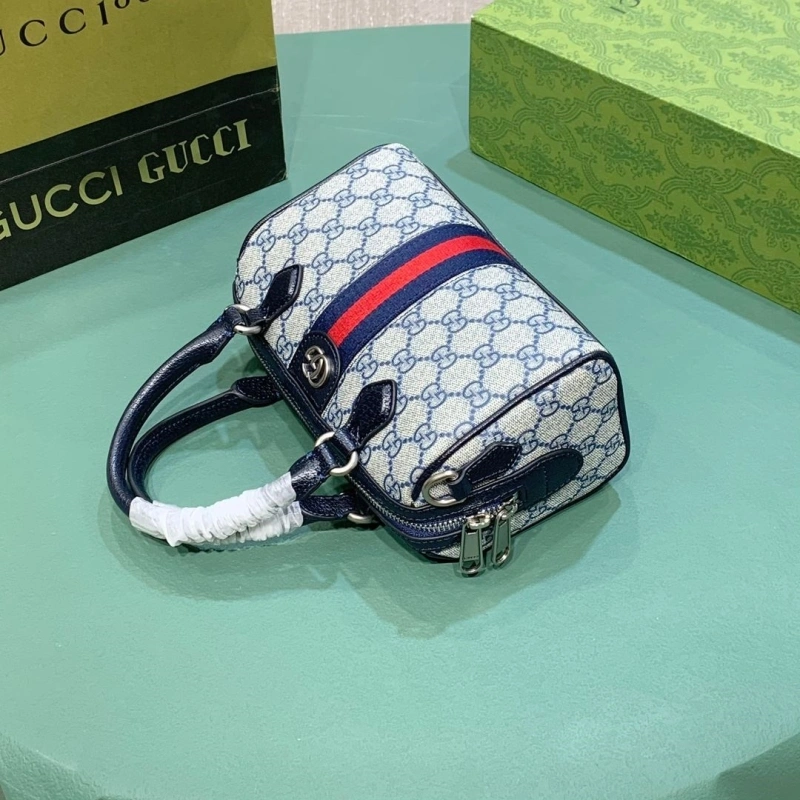 Gvc*1 speedy bags 4189a-0128