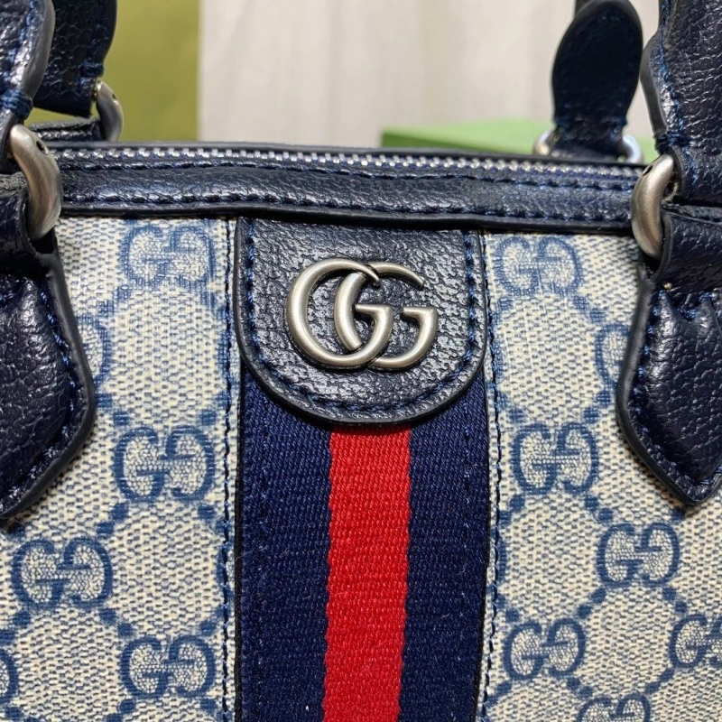 Gvc*1 speedy bags 4189a-0128
