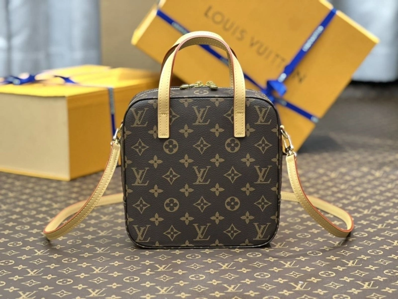LV Cosmetic Bags 4194A-0107