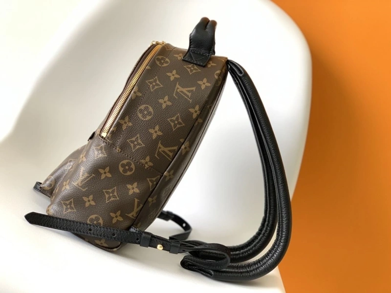 LV Backpacks 4194A-0601