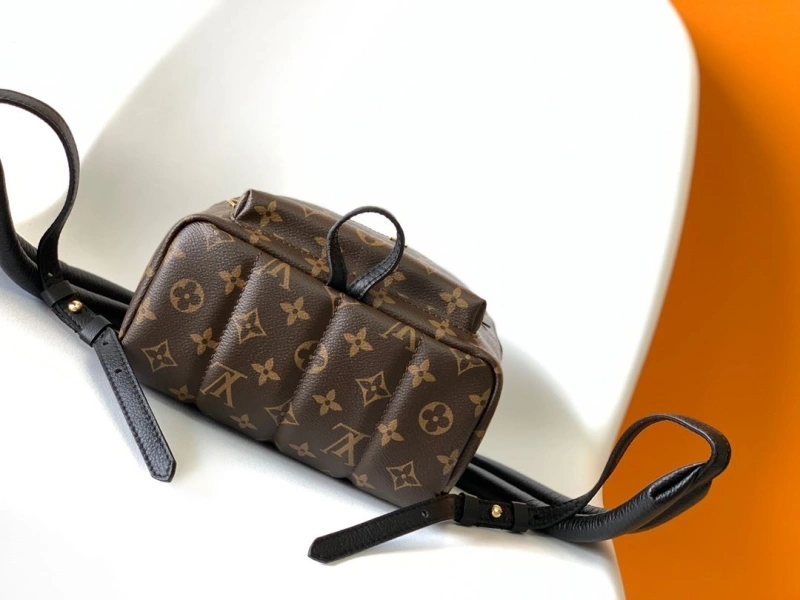 LV Backpacks 4194A-0601