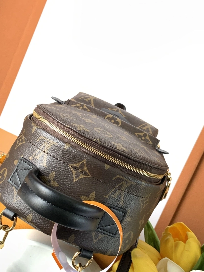 LV Backpacks 4194A-1117