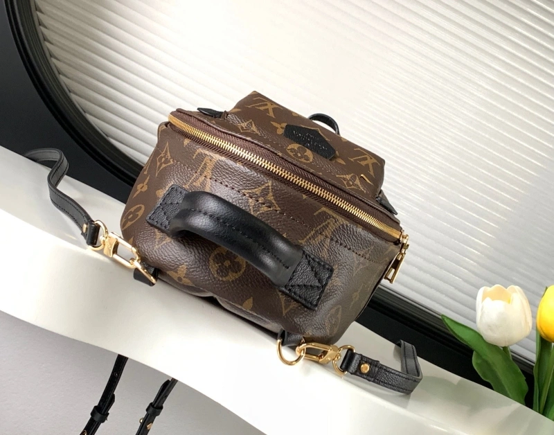 LV Backpacks 4194A-1189