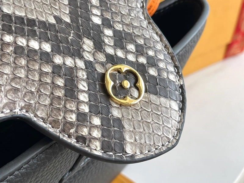 LV Capucines Bags 4194B-0062