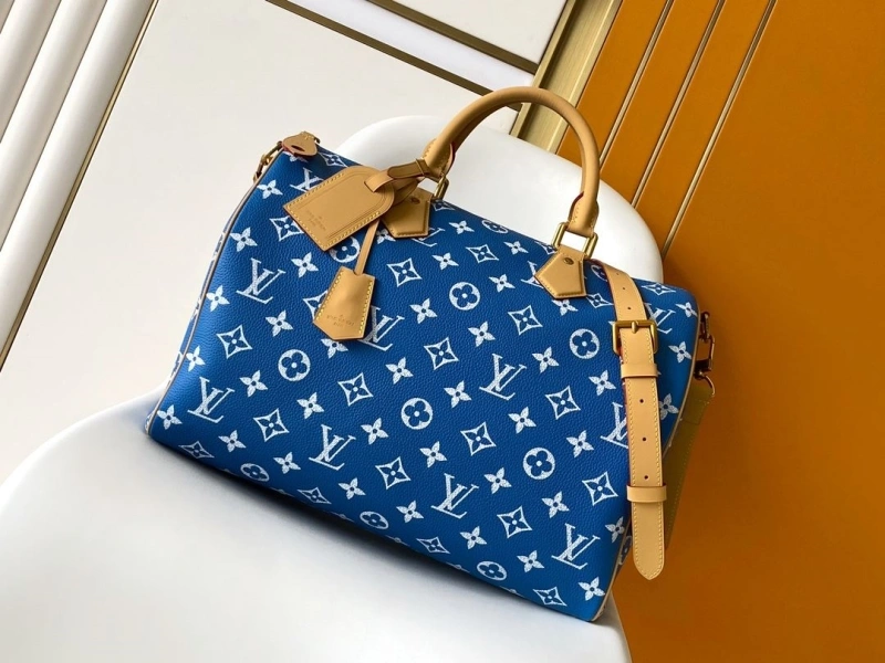 LV Travel Bags 4194B-0144