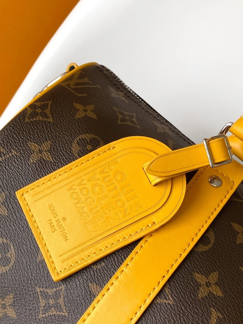 LV Travel Bags 4194B-0239