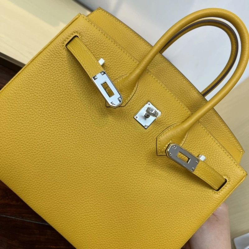 H**me5 kelly bags 4197-0483