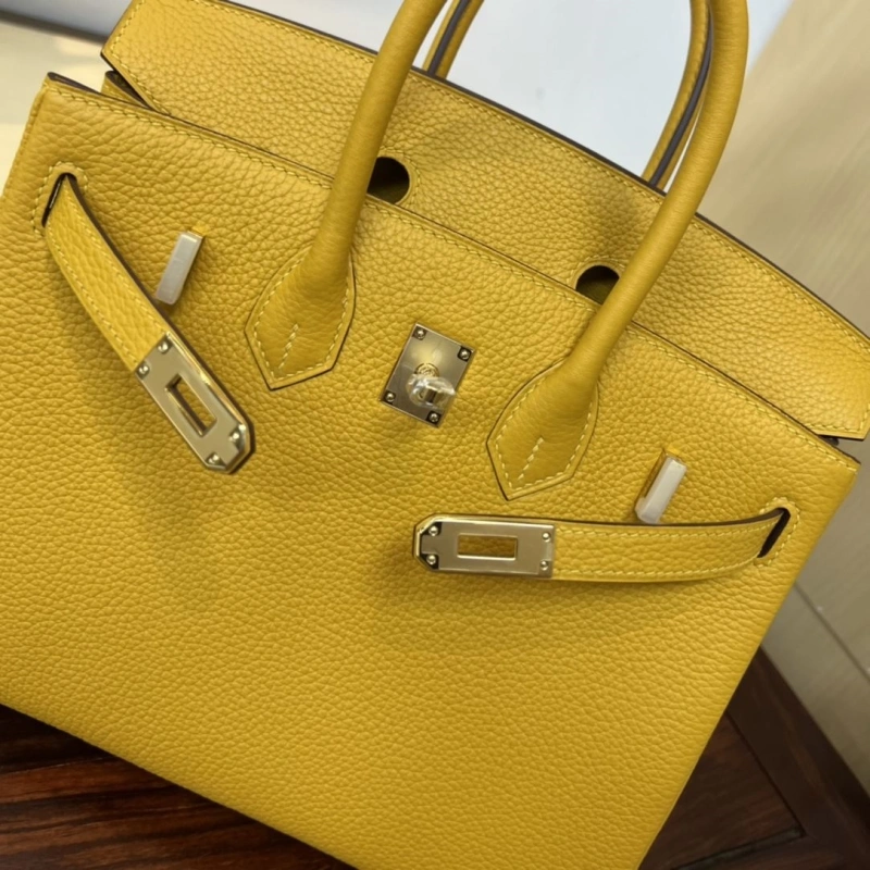 H**me5 kelly bags 4197-0484