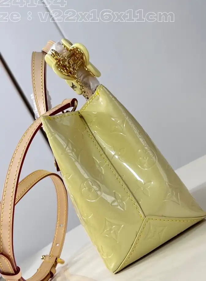 LV Shopping Bags 4206A-2690