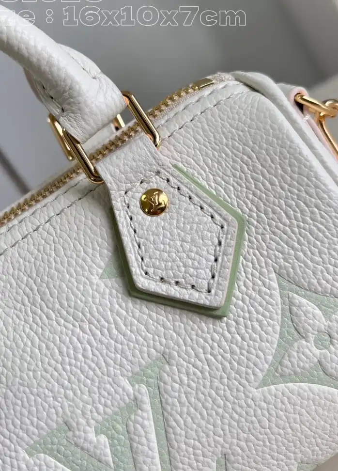 LV Speedy Bags 4206A-2719