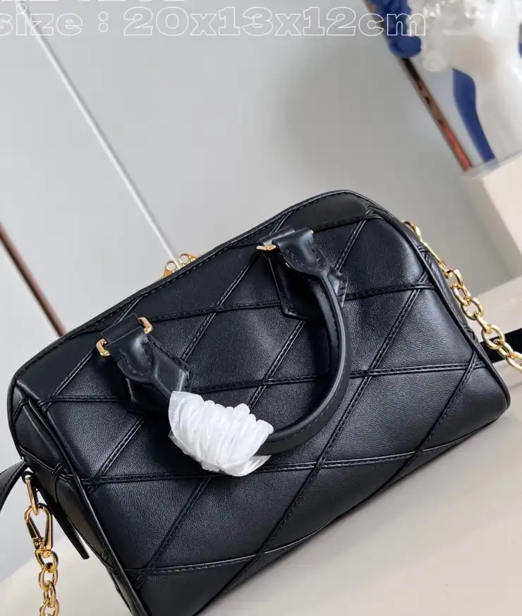 LV Speedy Bags 4206A-4829