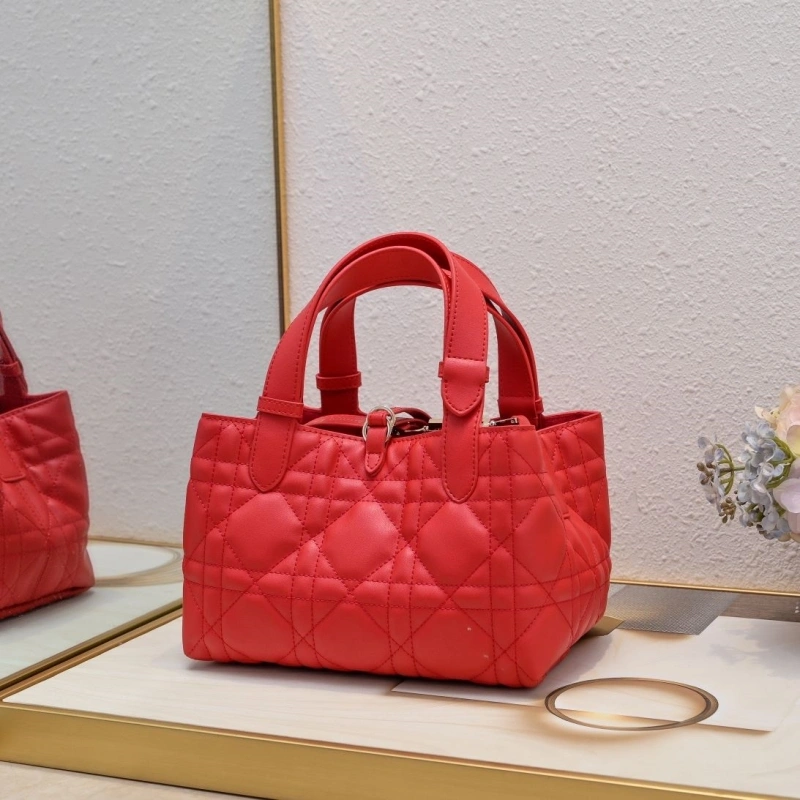 D10r shopping bags 4220d-0053