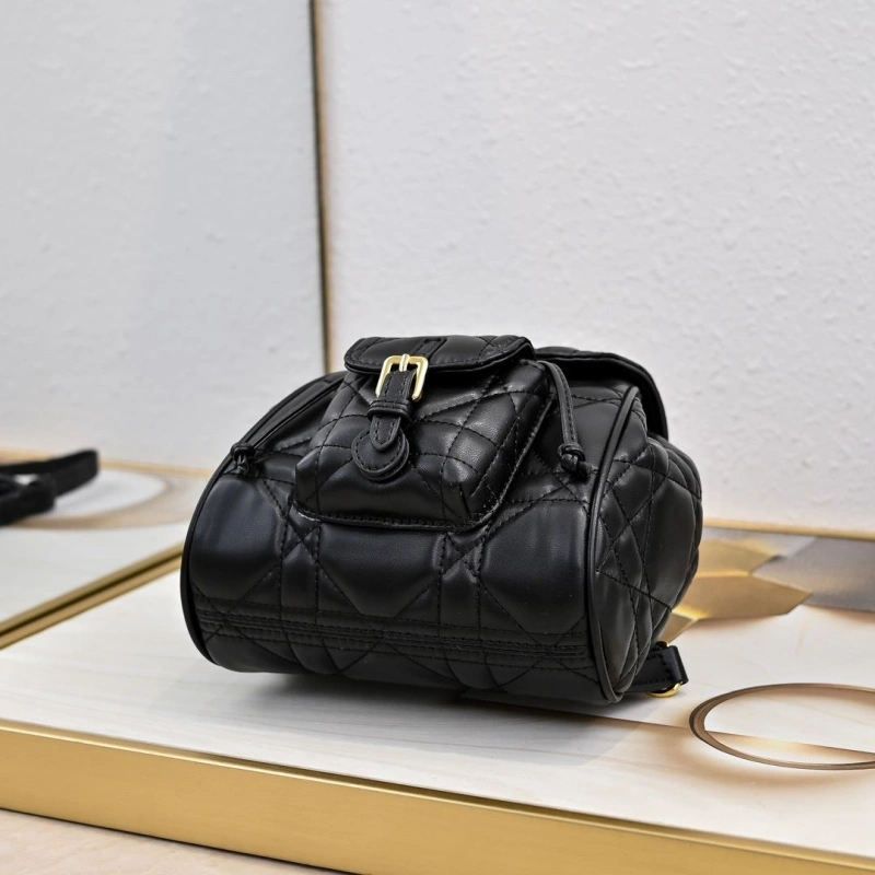 D10r backpacks 4220d-0174