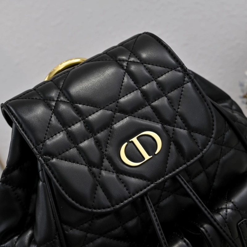 D10r backpacks 4220d-0177