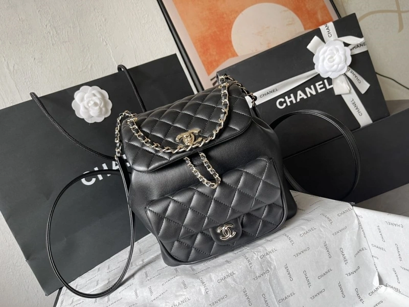 Ch**el backpacks 4224-1894