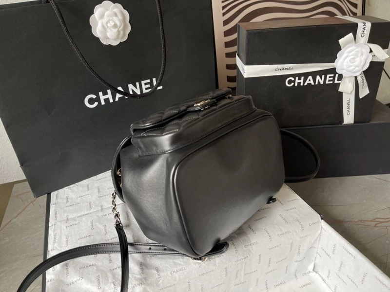 Ch**el backpacks 4224-1894