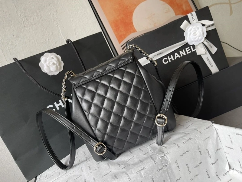 Ch**el backpacks 4224-1894