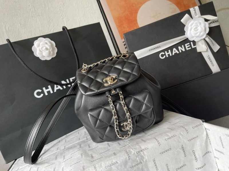 Ch**el backpacks 4224-1895