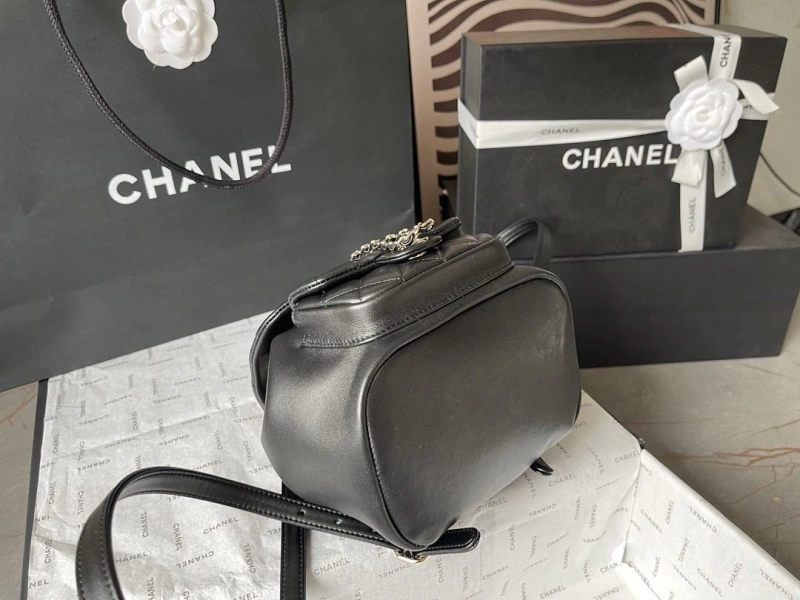 Ch**el backpacks 4224-1895