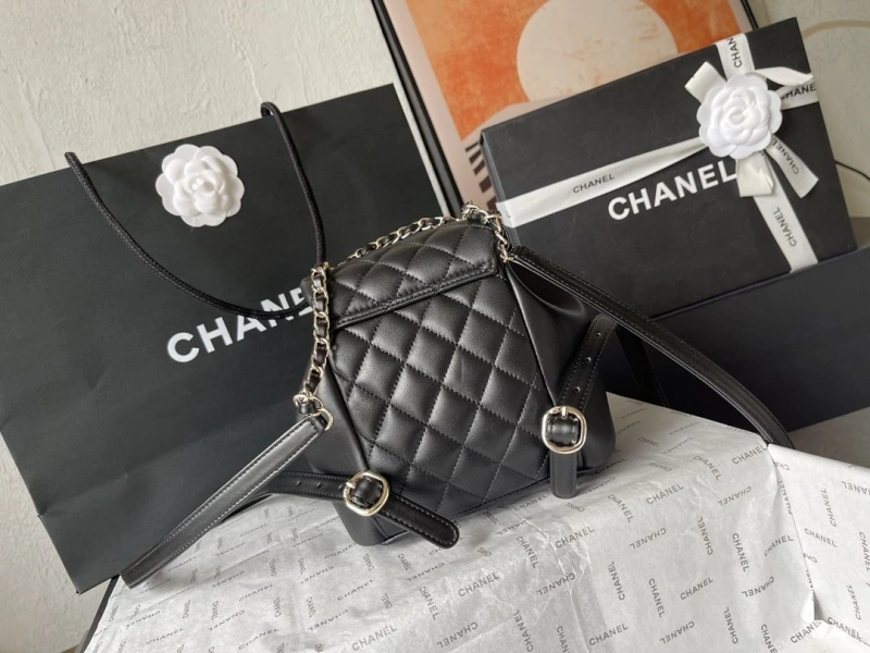 Ch**el backpacks 4224-1895