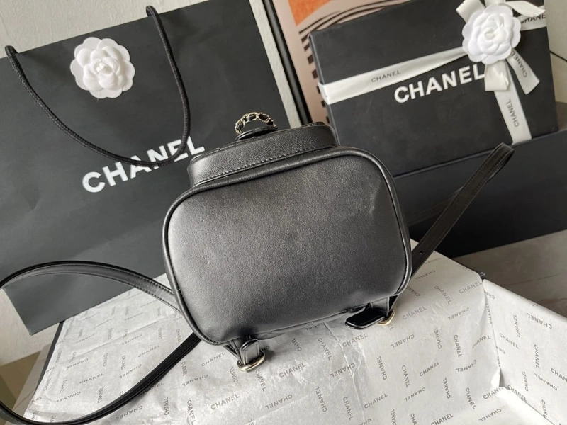 Ch**el backpacks 4224-1895