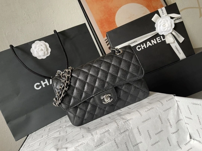 Ch**el cf series bags 4224-1900