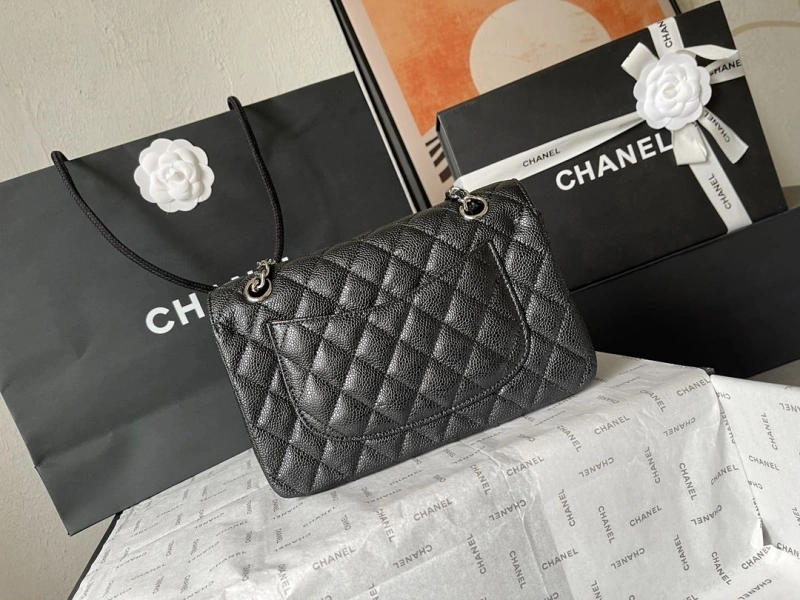 Ch**el cf series bags 4224-1900