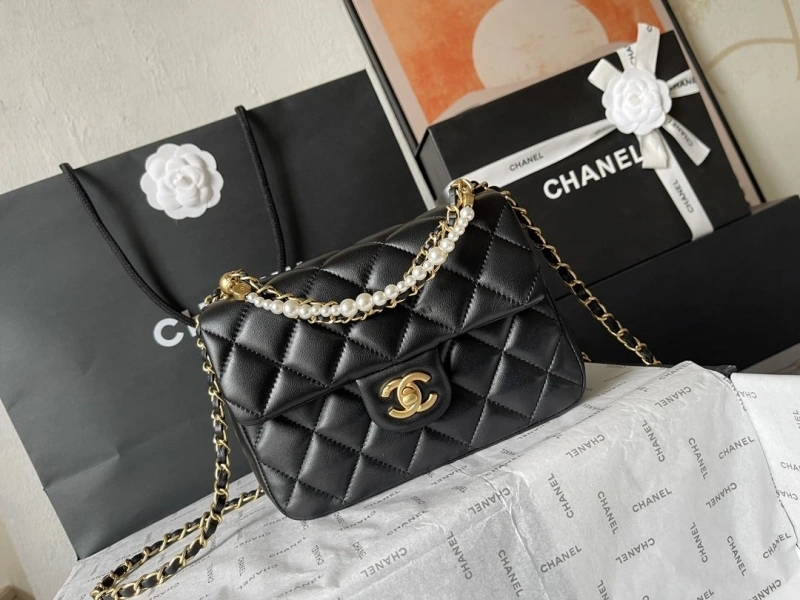Ch**el 19 bags 4224-1926