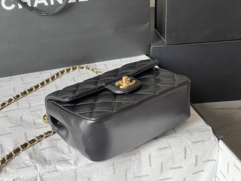 Ch**el 19 bags 4224-1926