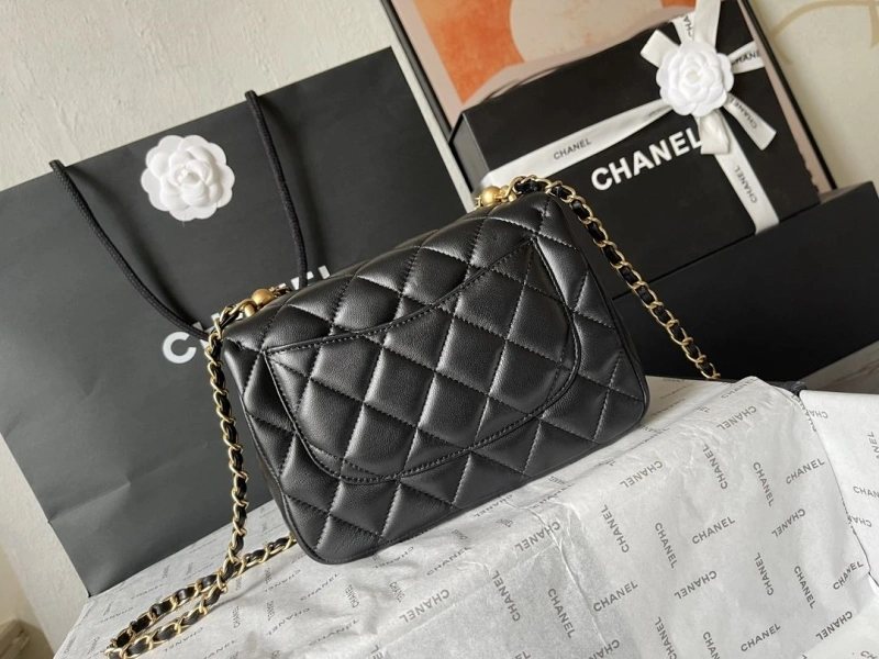 Ch**el 19 bags 4224-1926