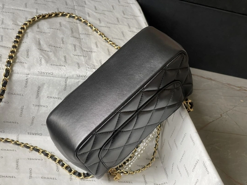 Ch**el 19 bags 4224-1926