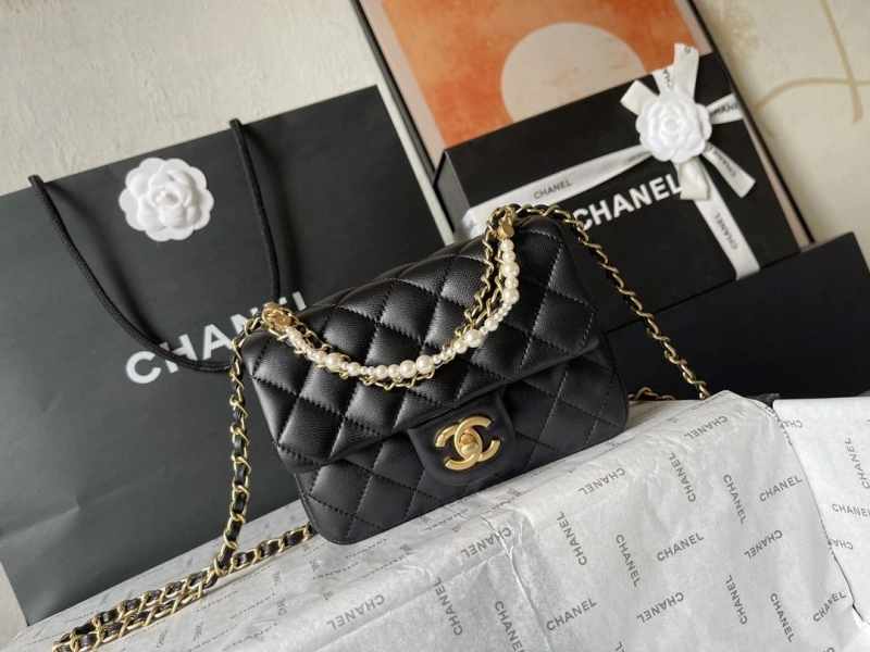 Ch**el 19 bags 4224-1927