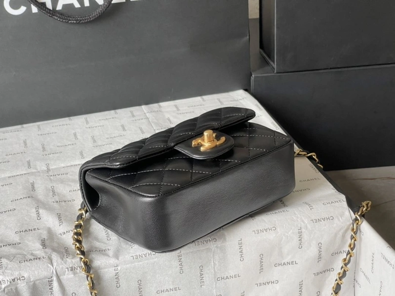 Ch**el 19 bags 4224-1927