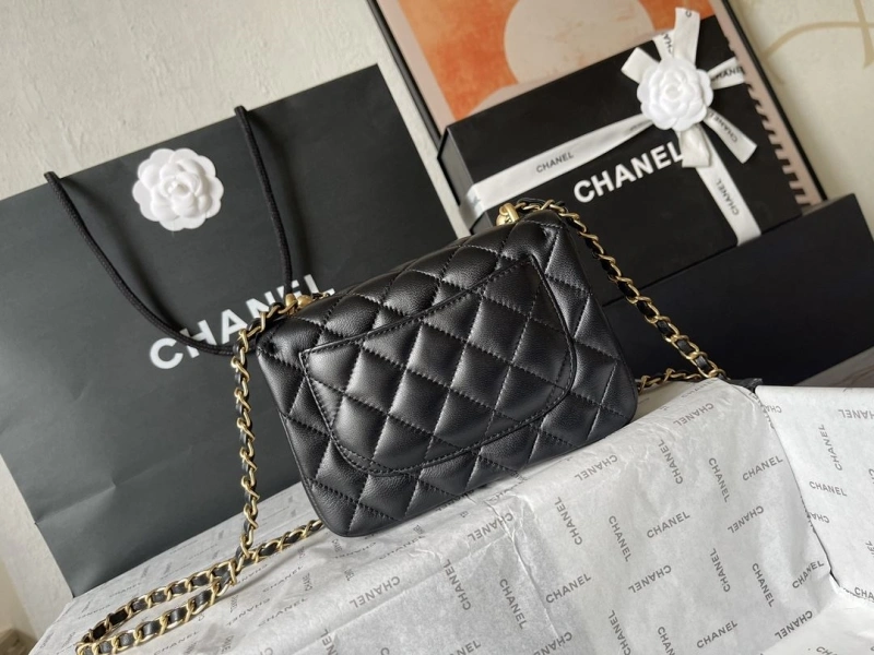 Ch**el 19 bags 4224-1927