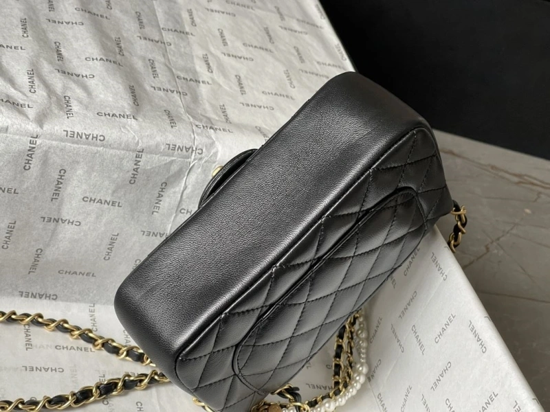 Ch**el 19 bags 4224-1927