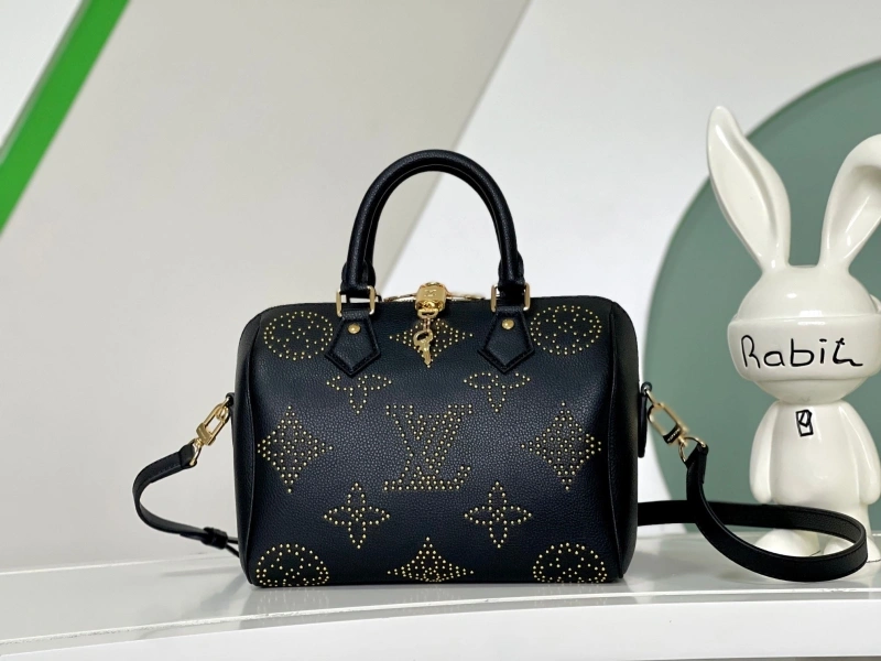 LV Speedy Bags 4233G-0171