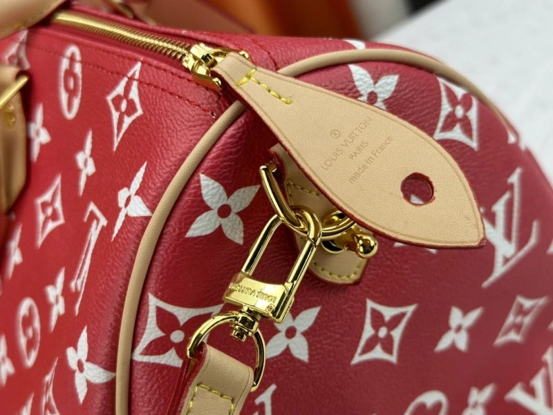 LV Travel Bags 4233G-0432