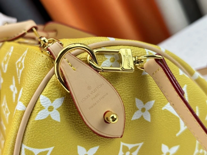 LV Travel Bags 4233G-0433