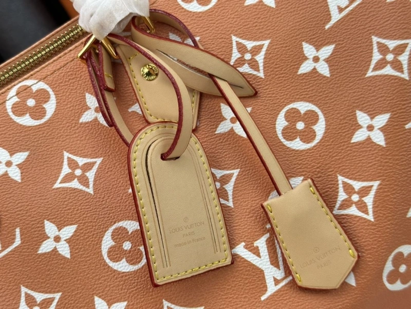 LV Travel Bags 4233G-0434