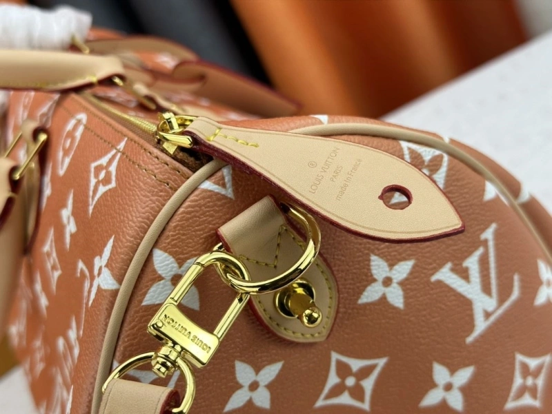 LV Travel Bags 4233G-0434