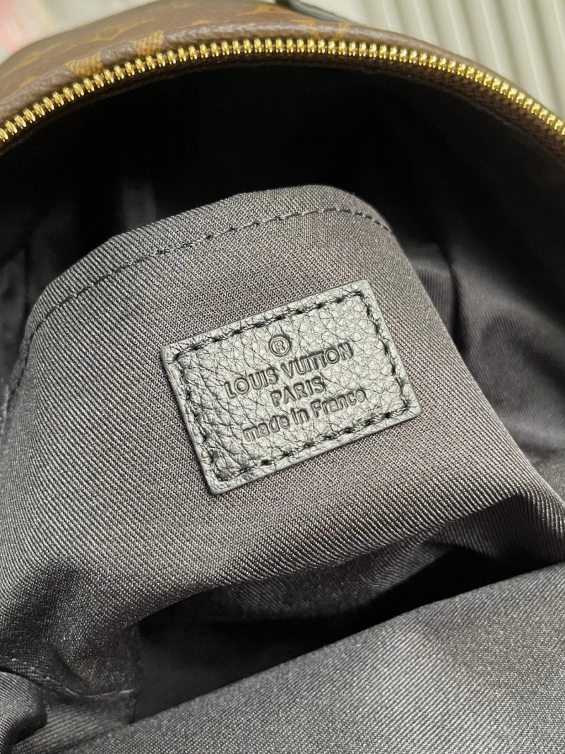 LV Backpacks 4233G-0815