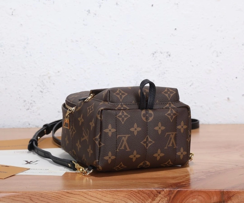 LV Backpacks 4233G-1008