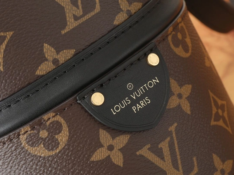 LV Bucket Bags 4233G-1021