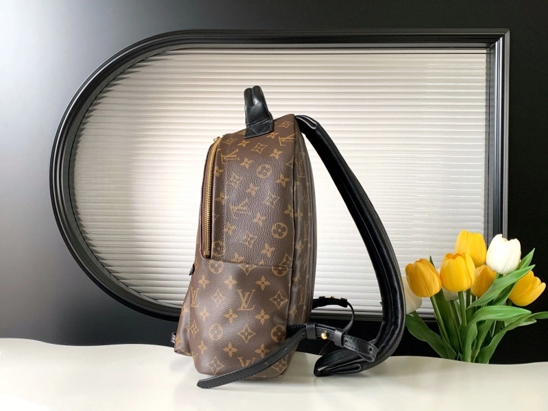 LV Backpacks 4233H-0560