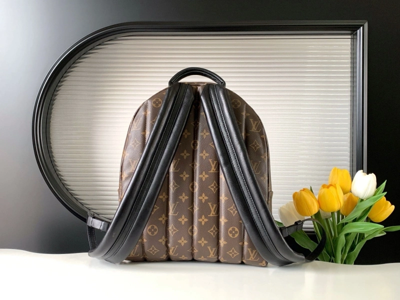 LV Backpacks 4233H-0560