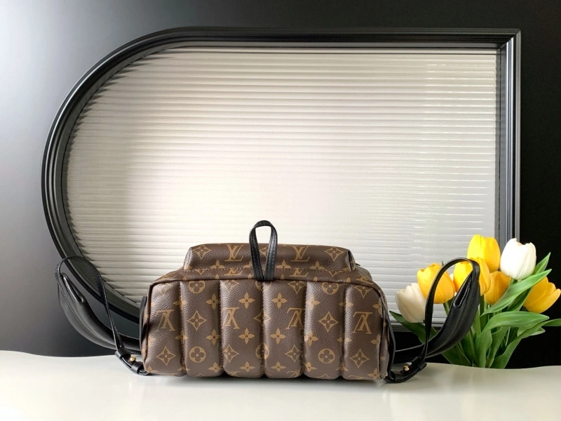 LV Backpacks 4233H-0560