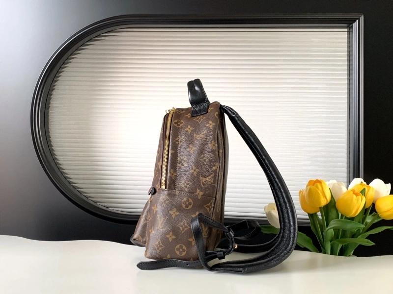 LV Backpacks 4233H-0561