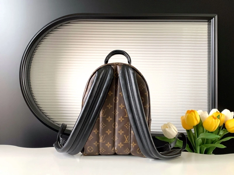 LV Backpacks 4233H-0561