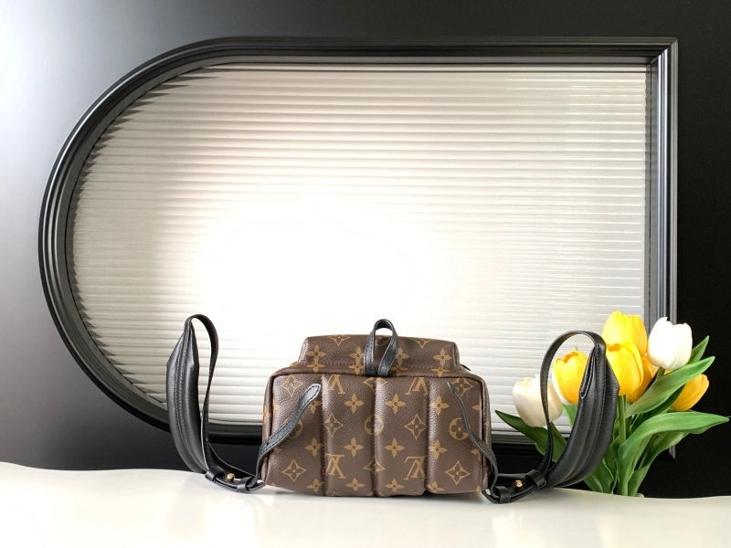 LV Backpacks 4233H-0561